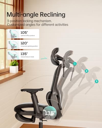 Hbada P2 Ergonomic Office Chair, Office Chair with 3D Lumbar Support, Ergonomic Chair with 3D 360° Rotation Arms & 3D Headrest, 135° Stepless Tilt Function, Black - color: Carbon Black