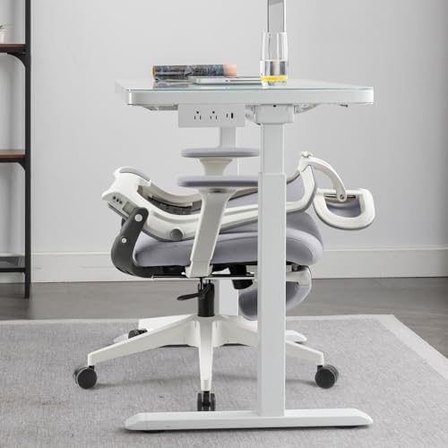 Ergonomic Foldable Office Chair with Footrest and Lumbar Support, Grey - color: Grey