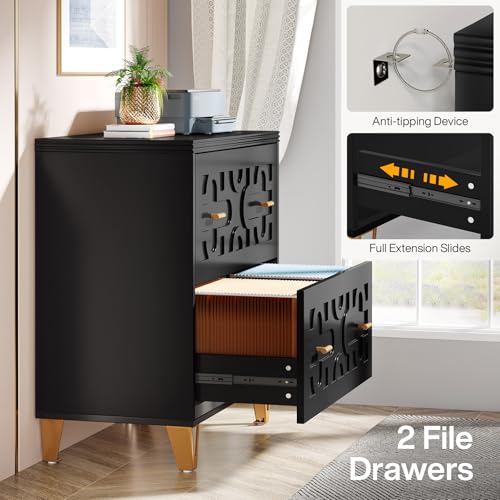 Tribesigns 2-Drawer Lateral File Cabinet, Black and Gold | Modern, Legal/Letter/A4 Size, Large Storage, Printer Stand, Home Office - color: Black & Gold