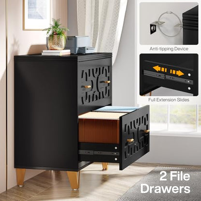 Tribesigns 2-Drawer Lateral File Cabinet, Black and Gold | Modern, Legal/Letter/A4 Size, Large Storage, Printer Stand, Home Office - color: Black & Gold