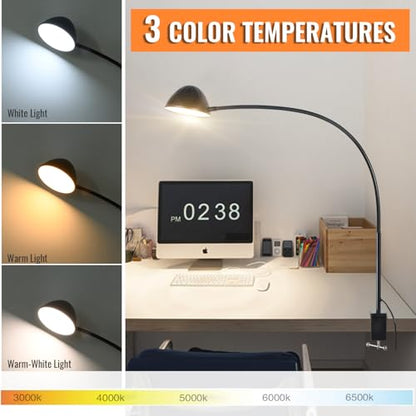 Long Gooseneck Clamp Lamp, Clip Desk Lamp with Clamp, 10W, 1100 LMS, 3 Color Modes, 10 Brightness Levels, 31 Inches Long Flaxible Gooseneck, Perfect for Craft, Reading, Home, Office - size: Large