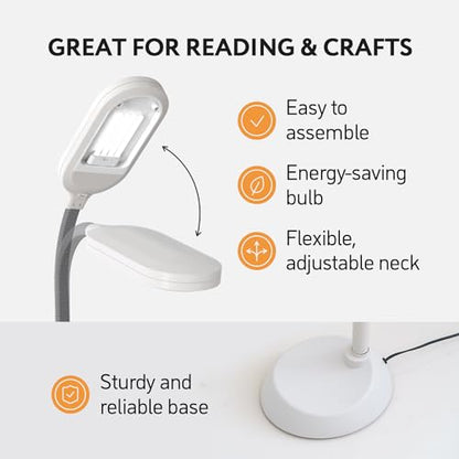Kenley Natural Daylight Floor Lamp with Adjustable Gooseneck - color: Gray