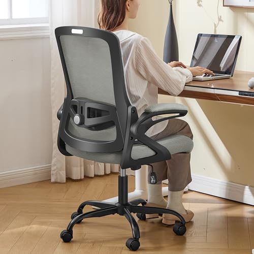 Ergonomic Office Chair, Desk Chair with Adjustable Lumbar Support, Breathable Mesh Comfy Computer Chairs with Flip-up Armrests Executive Task Chair for Adults Home Office (Dark Gray) - color: Dark Gray