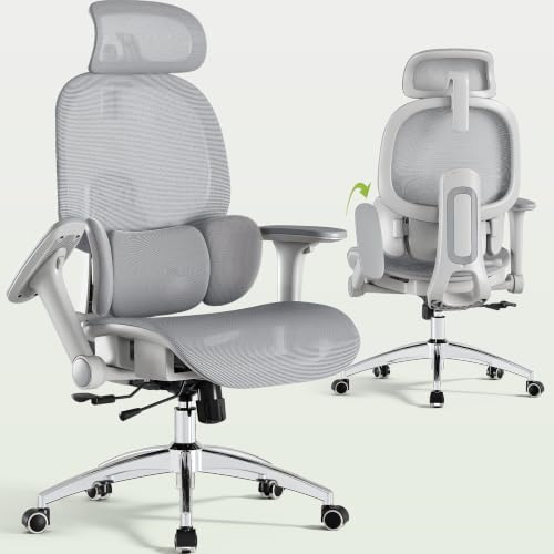 X19 Ergonomic Office Chair, 3-Zone Lumbar for Back Pain Relief - color: Mist Grey