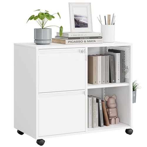 MIIIKO 2 Drawer File Cabinet with Lock, Metal Rolling Printer Stand Filing Cabinets with Drawers for Home Office,A4, Letter Size File Folders(White) - color: White, size: 2 Drawer-31.5"W -Mobile-a