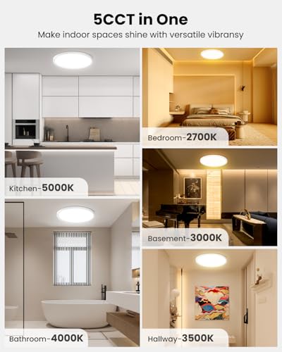 9 Inch Ceiling Light Fixtures, Dimmable 2700K/3000K/3500K/4000K/5000K Selectable LED Round Flat Panel Light, 18W, 2000LM Ceiling Fixture for Office, Lounge, 9 Inch 2Pack White - color: White-2 Pack, size: 9 Inch