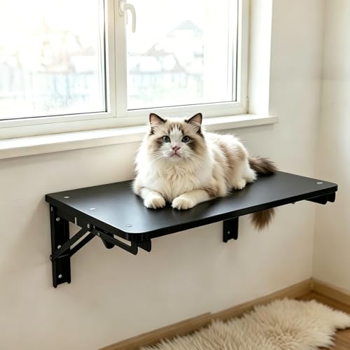 Wooden Folding Shelf Wall Mounted for Small Space, Fold Down Desk for Home | Black Wall Table for Living Room Bedroom Decor, Media Shelves with Heavy-Duty Brackets Holds Up to 30lbs, 21.6"*11.8" - color: Black, size: 21.6"*11.8"