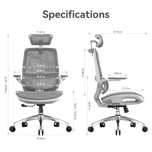 SIHOO M59AS Ergonomic Office Chair, Dual Backrest, Adaptive Lumbar Support - color: Jet Black, size: Pack of 1