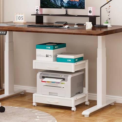 VENNQD 2-Tier Desktop Printer Stand with 2 Fabric Drawers, Prtiner Table with Storage Shelf, Desk Organizer for Home Office,3D Printer,Fax Machine,Scanner (White, 2 Tier) - color: White