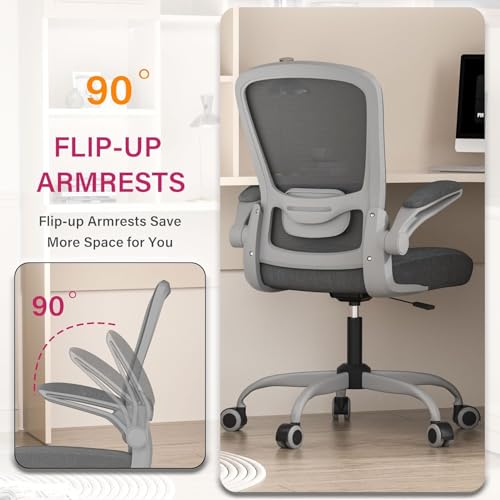 Ergonomic Office Chair w/Adjustable Lumbar, Flip Armrest, 135° Recline - color: Iron Gray With Gray Frame