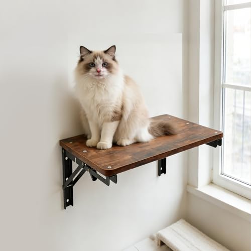 Wooden Folding Shelf Wall Mounted for Small Space, Fold Down Desk for Home | Wall Table for Living Room Bedroom Decor, Media Shelves with Heavy-Duty Brackets Holds Up to 30lbs, 16.5"*11.8" - color: Brown, size: 16.5"*11.8"