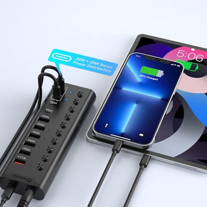Powered USB Hub, Individual Switches and 24V/3A Power Adapter(Black) - color: Black