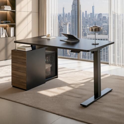 FLEXISPOT EN2 55"x28" Standing Desk Bundle with Storage Cabinet, Black - color: Black Frame + Black Top, size: 55x28 | Cabinet