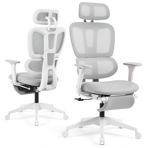 Ergonomic Office Chair with Footrest and Dynamic Lumbar Support, Grey - color: Light Grey