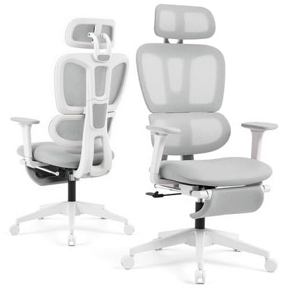 Ergonomic Office Chair with Footrest and Dynamic Lumbar Support, Grey - color: Light Grey
