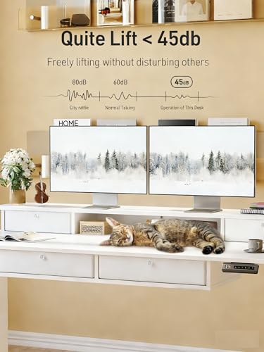 CubiCubi 48" x 24" Standing Electric Desk with Drawers, White - color: White, size: 48 inch