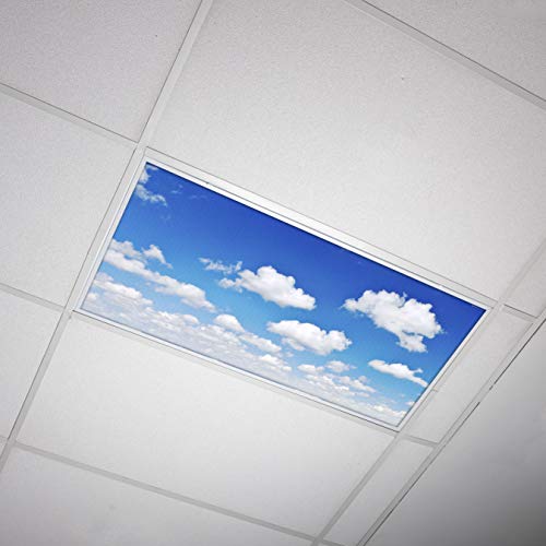 OCTO LIGHTS Fluorescent Light Covers Cloud Sky Panel for Ceiling Lights, Light Covers for Ceiling Lights Classroom 2x4 (22.38"x46.5") Backlit Film Insert for Fluorescent Light Fixtures (Pack of 1) - color: Spacial Altostratus, size: 1pk