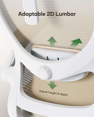 Marsail Ergonomic Office Chair: Office Computer Desk Chair with High Back Mesh and Adjustable Lumbar Support Rolling Work Swivel Task Chairs with Wheel 3D Armrests and Headrest (White) - color: White