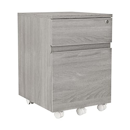 2‑Drawer Rolling File Cabinet with Lock, Under‑Desk Storage & Wheels, Grey