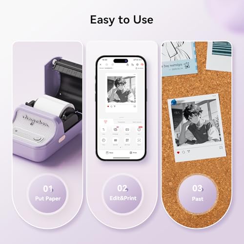 NIIMBOT B21 Pro Sticker Printer, 300DPI, Fun APP, Portable Inkless Label Printer, Bluetooth Sticker Maker for DIY Crafts, Notes, Scrapbook, Photo, Custom Labels & Gifts,Home Organization (Violet) - color: Purple