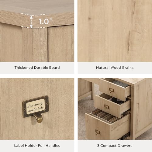 EYYTHUNG Modern Executive Desk with File Drawers Cabinet,59" Computer Desk with Charging Station, Keyboard Tray, Large Home Office Desk, Farmhouse Wood Desk for Study, Writing, Light Oak - color: Light Oak