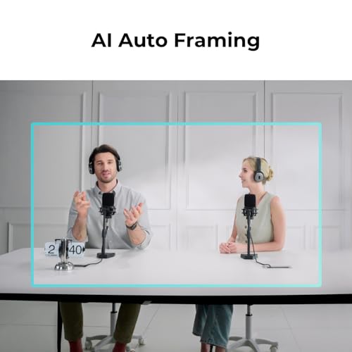 OBSBOT Meet 2 Webcam 4K - AI Framing & Auto Tracking, 1/2" Sensor, 60FPS, Auto Focus, HDR, Dual Mics - Lightweight USB Web Camera for Streaming, Zoom Meetings, Gaming. (Space Gray)