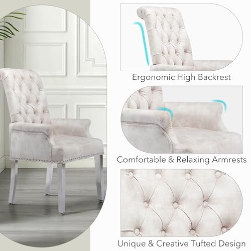 LOULENS Velvet Dining Chairs Set of 4, Dining Chairs with Arms, Beige | Upholstered, High Back, Tufted, Luxurious, Stainless Steel Leg, for Kitchen & Dining Room - color: Beige, size: 4 PCS