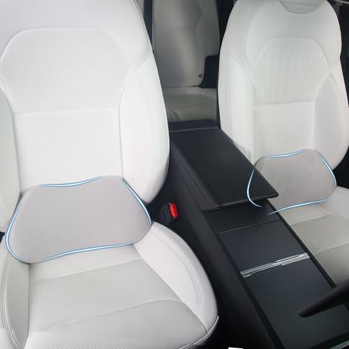 Lumbar Support Pillow for Car Lower Back Cushion, Gray, 2 Packs - color: Gray, size: Lumbar 2P