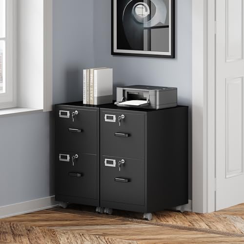 BYNSOE 2 Drawers File Cabinet with Lock Metal Vertical File Cabient with Wheels Mobile File Cabinet for Office Home Legal/Letter/a4 Size Require Assembly - color: Black, size: 27.36"H x 17.71"D x 15"W