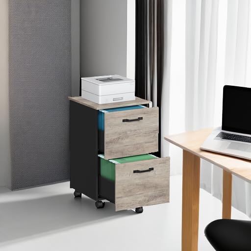 VASAGLE 2-Drawer File Cabinet, Small Rolling Filing Cabinet - color: Heather Greige + Ink Black, style: Classic
