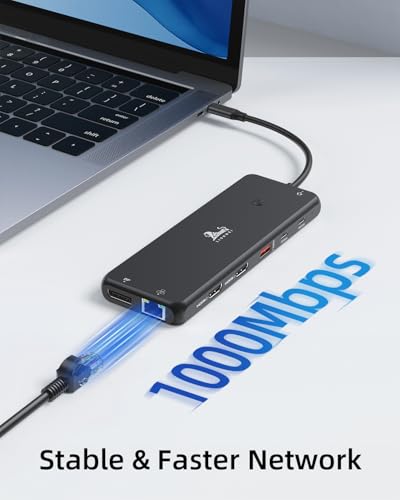 13-in-1 Docking Station Dual Monitor 4K LIONWEI USB C Hub for Laptop Mac - color: 13-in-1 Black