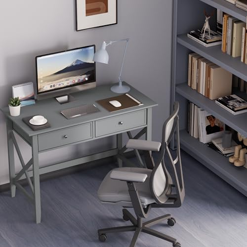 Lewahom Computer Desk with 2 Drawers, Elegant Home Office Writing Study Desk with Storage, Modern Simple Vanity Desk Console Table for Living Room, Grey - color: Grey