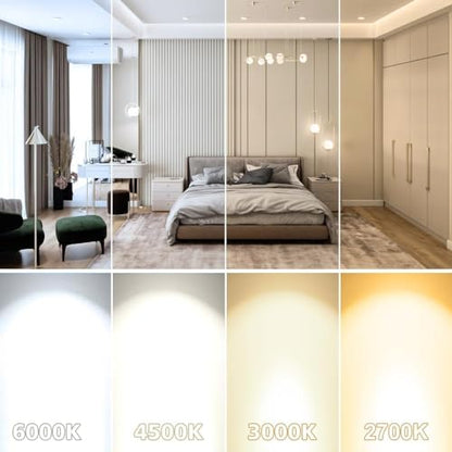 2 Inch LED Downlight, Recessed Lighting Dimmable Ceiling Light, 3W, 3000K Warm White, CRI80 with LED Driver(35W Halogen Equivalent), 12 Pack - color: Warm White, size: White/12 Pack