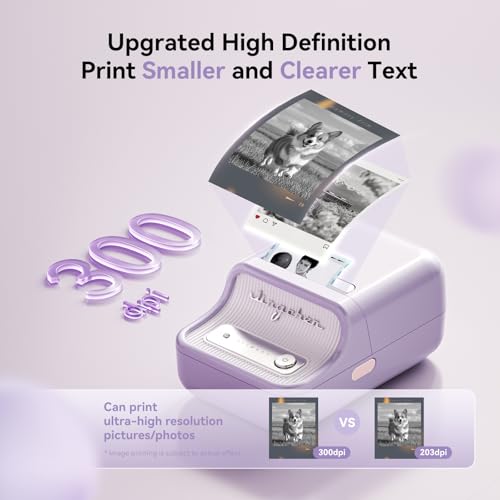 NIIMBOT B21 Pro Sticker Printer, 300DPI, Fun APP, Portable Inkless Label Printer, Bluetooth Sticker Maker for DIY Crafts, Notes, Scrapbook, Photo, Custom Labels & Gifts,Home Organization (Violet) - color: Purple