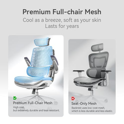 SIHOO M59AS Ergonomic Office Chair, Dual Backrest, Adaptive Lumbar Support - color: Jet Black, size: Pack of 1