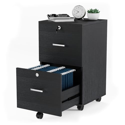 VINGLI 2-Drawer File Cabinet with Lock, Small Rolling Wood Filing Cabinet for Hanging Letter Size Filings with Tabs, Mobile Under Desk File Organizer for Home Office, Classic Black, 27.2" H - color: Classic Black, size: Standard 2 Drawer