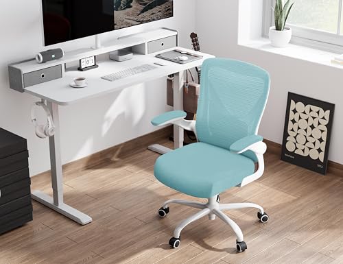 Ergalithic Office Chair: Mesh Ergonomic Desk Chair with 3D Lumbar & Swivel - color: Mint Green, size: Pack of 1