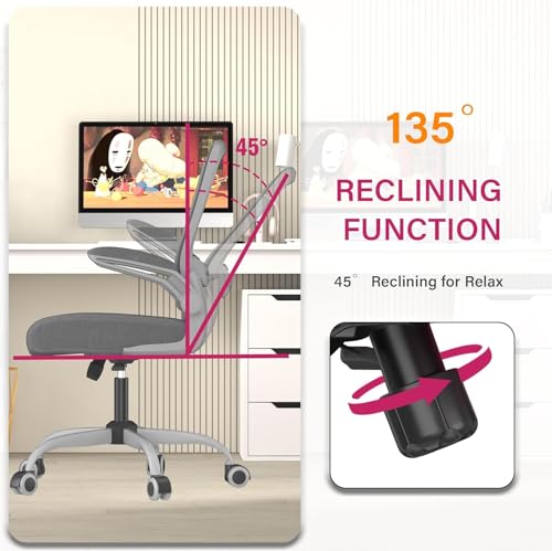 Ergonomic Office Chair w/Adjustable Lumbar, Flip Armrest, 135° Recline - color: Iron Gray With Gray Frame