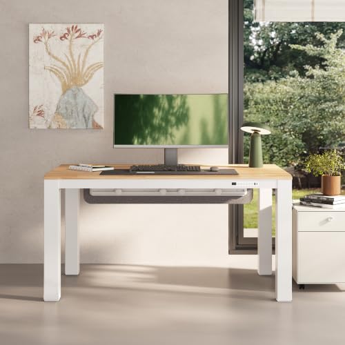 FLEXISPOT E3Q-PRO 4-Leg Standing Desk, 55"x28" Rubberwood, Natural