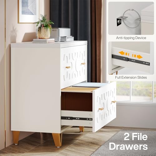Tribesigns 2-Drawer Lateral File Cabinet, Warm White and Gold | Modern, Legal/Letter/A4 Size, Large Storage, Printer Stand, Home Office - color: Warm White & Gold