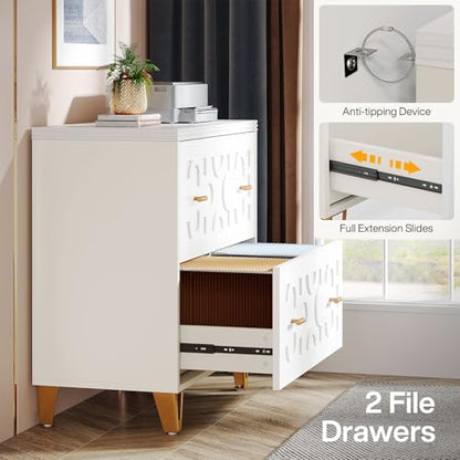 Tribesigns 2-Drawer Lateral File Cabinet, Warm White and Gold | Modern, Legal/Letter/A4 Size, Large Storage, Printer Stand, Home Office - color: Warm White & Gold