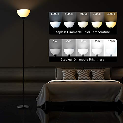 PESRAE RGB Floor Lamp, Stepless Brightness & Color Temperature - color: Matte Black RGB