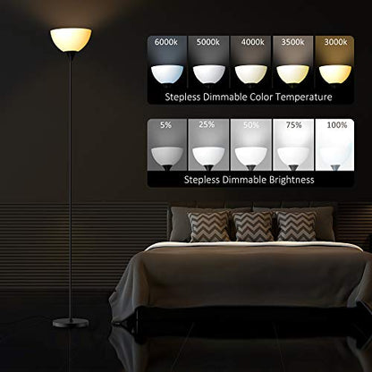 PESRAE RGB Floor Lamp, Stepless Brightness & Color Temperature - color: Matte Black RGB