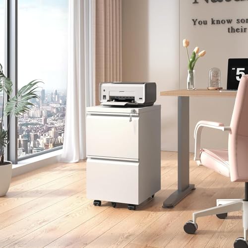 Guizeeopo 2 Drawer Locking File Cabinet, Fully Assembled Heavy-Duty Metal Filing Cabinets for Home Office, Quiet Slides, Anti-Tipping Wheels, Fits A4/Letter/Legal, Matte White - color: 03-b White
