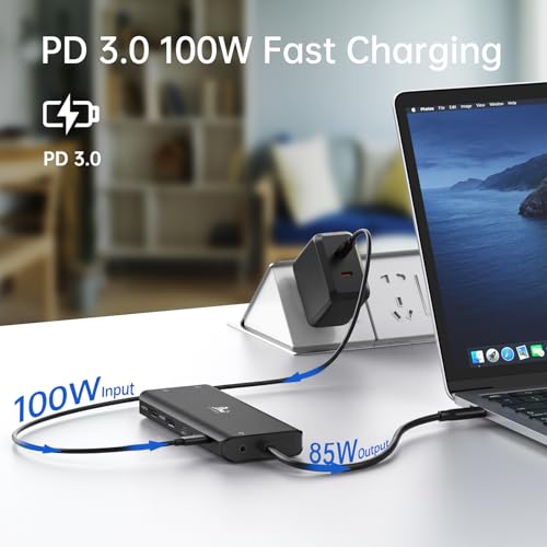 13-in-1 Docking Station Dual Monitor 4K, LIONWEI USB C Dock for Laptop Mac - color: Black-13 IN 1(2 HDMI+DP)