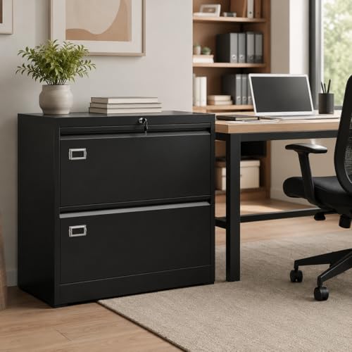 2 Drawer Lateral File Cabinet with Lock, Metal Filing Cabinet for Legal Letter and A4 Files, Black Cold Rolled Steel Office Storage Cabinet, Compact Lockable File Organizer - size: 2 Drawers