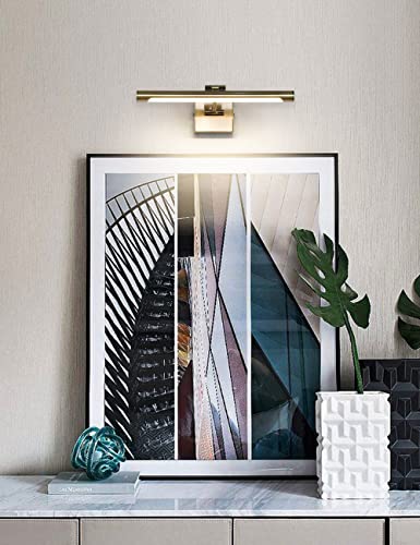 Joosenhouse LED Picture Lights for Paintings Bronze Finish 16.53" Long Swing Arm Display Wall Art Light 7W Gallery Hallway Lighting Over Pictures,Hardwired Connection 3000K (Pack of 2) - color: Antique Bronze, size: Dimmable 16.53" Long (Pack of 2)