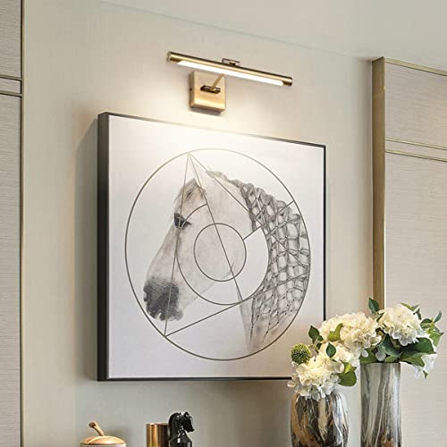 Joosenhouse LED Picture Lights for Paintings Bronze Finish 16.53" Long Swing Arm Display Wall Art Light 7W Gallery Hallway Lighting Over Pictures,Hardwired Connection 3000K - color: Antique Bronze, size: Dimmable 16.53" Long