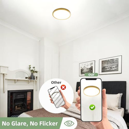 hykolity 12 Inch Selectable CCT LED Round Flat Panel Light,2 Pack | 24W 3000K/4000K/5000K, Edge-Lit Flush Mount Ceiling Light Fixture for Kitchen, Bedroom, Laundry and Closet Room,Gold - color: Gold, size: 12 inch