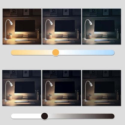 DAMI LED Reading Lights for Bed Headboard, Clip on Spotlight Lamp for Desk, Dorm Bed, Dimmable USB Clamp Book Light with Flexible Gooseneck, Change Color Temperature 3000/4000/6000K